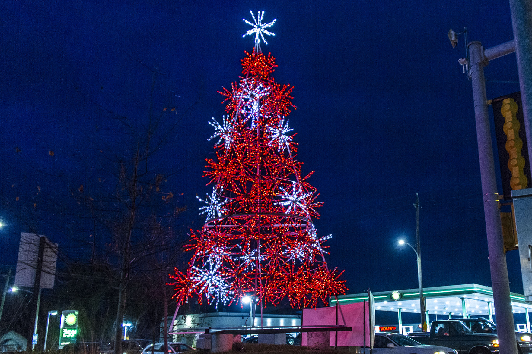 Check out a tree lighting ceremony